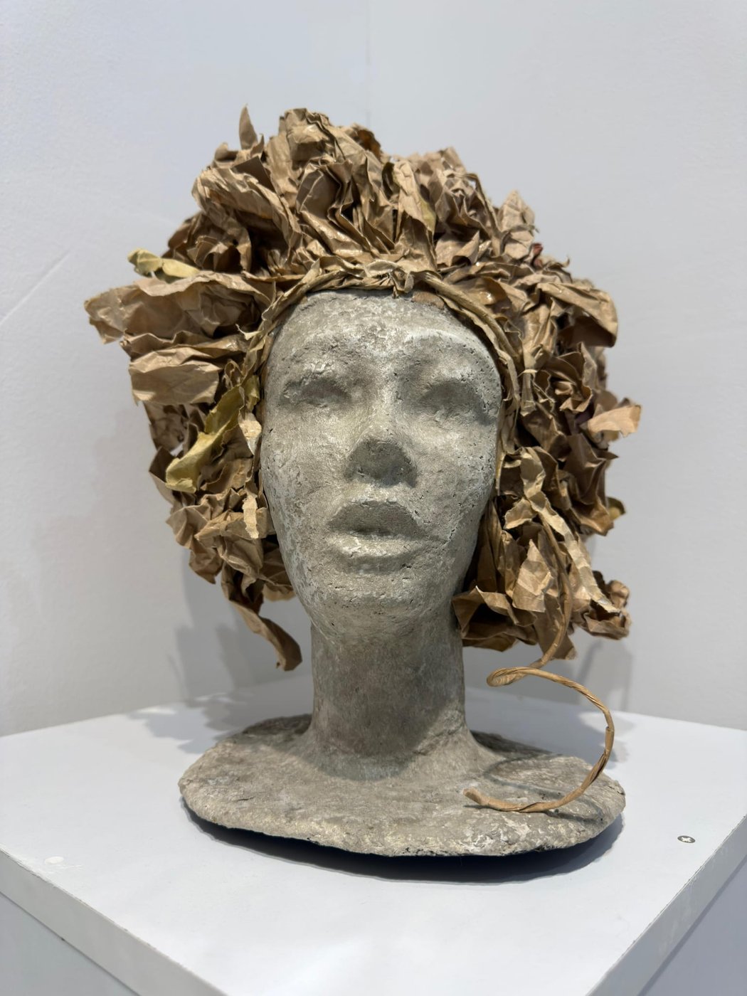 Medusa — vista frontale